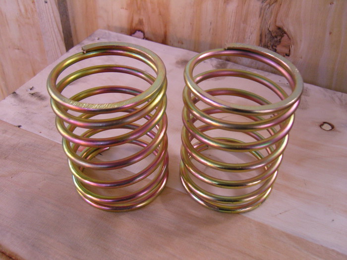 Valve spring
