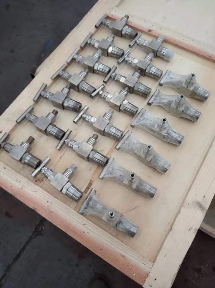 Lansen angled check valve