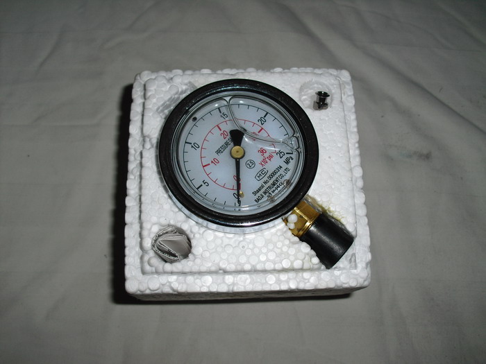 Pressure gauge for air bag